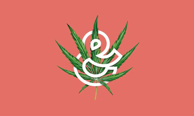 Eighty-Eight's New Brand Positioning for Cannabis Company Lift & Co.