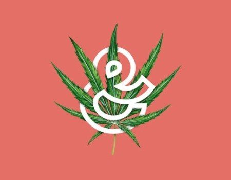 Eighty-Eight's New Brand Positioning for Cannabis Company Lift & Co.